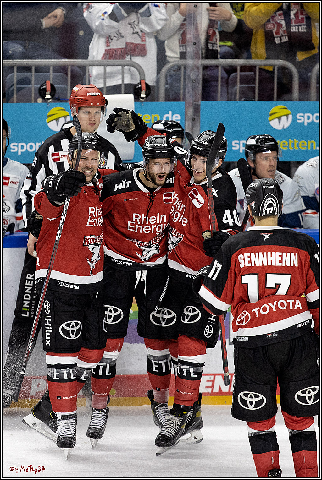 PENNY DEL;  Koelner Haie - Nuernberg Ice Tiger; Koeln, 21.09.2021
